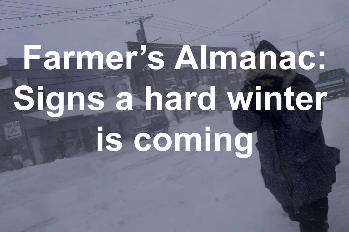 Farmers' Almanac: 20 Signs A Hard Winter Is Coming