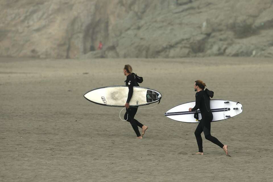 Wise surf shop new arrivals