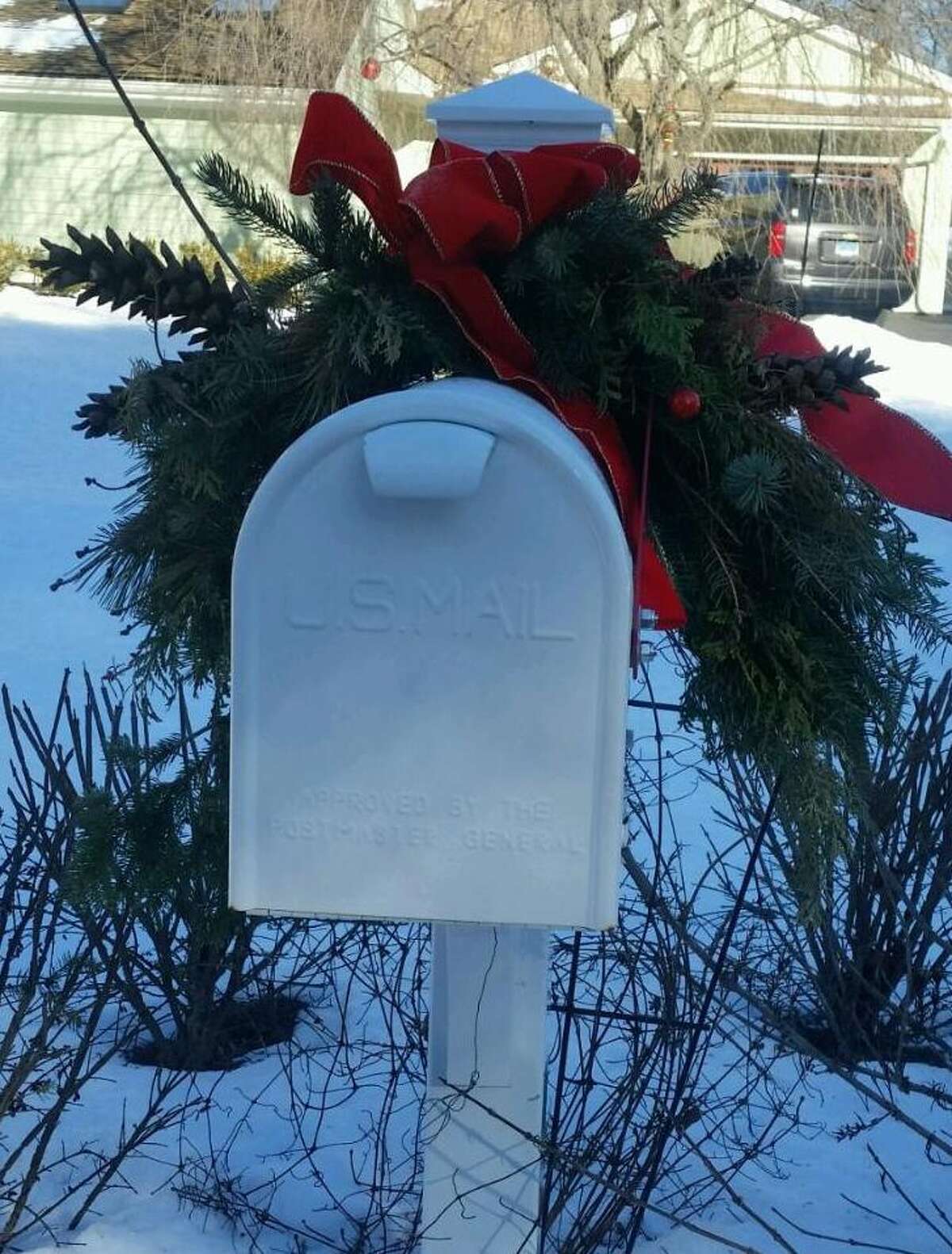 Orders for mailbox covers must be ordered and prepaid before Nov. 27.