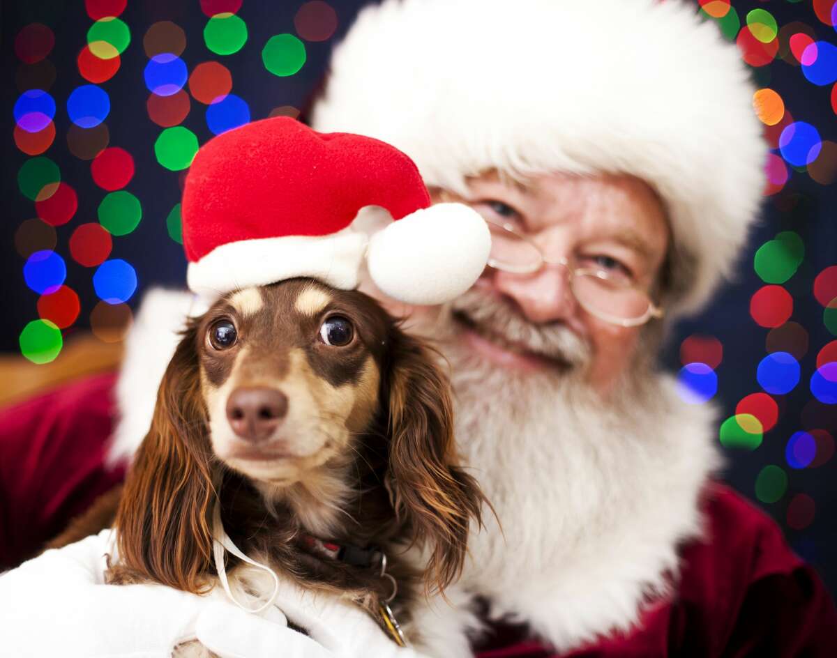 This file photo shows a dog taking a picture with Santa Claus.