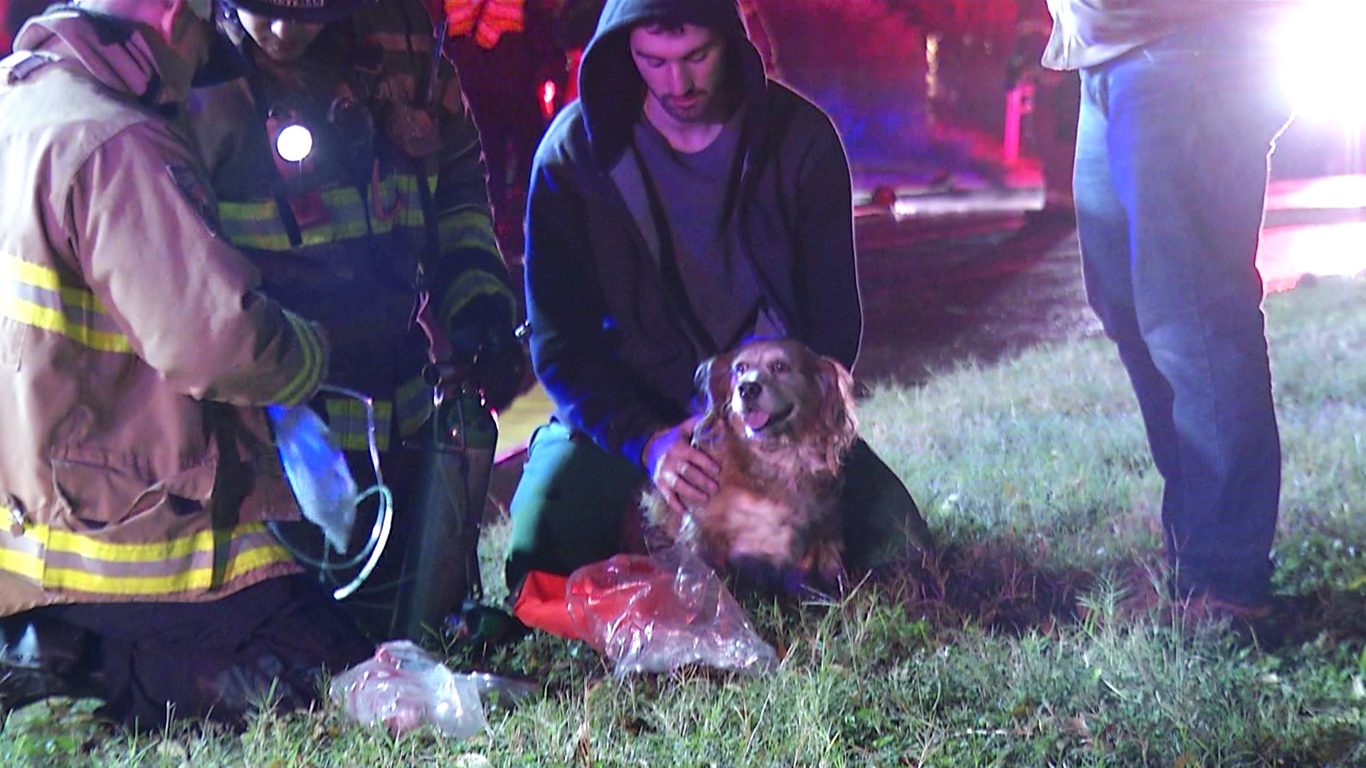 Dogs Save Family After Fire Breaks Out In Northwest Side Home