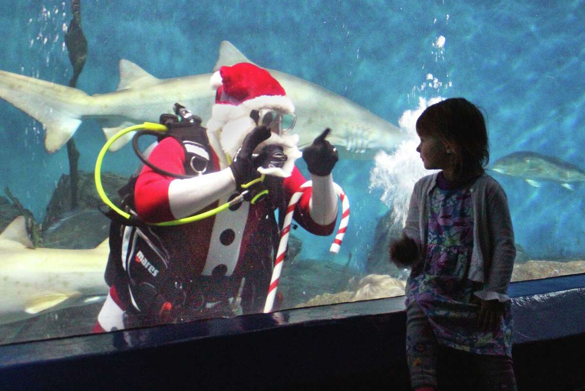 Santa will don scuba gear at The Maritime Aquarium at Norwalk to demonstrate that sharks are nice, not naughty, during “Shark-Diving Santa” presentations on November 29-30 and on Thursdays, Saturdays and Sundays in December.
