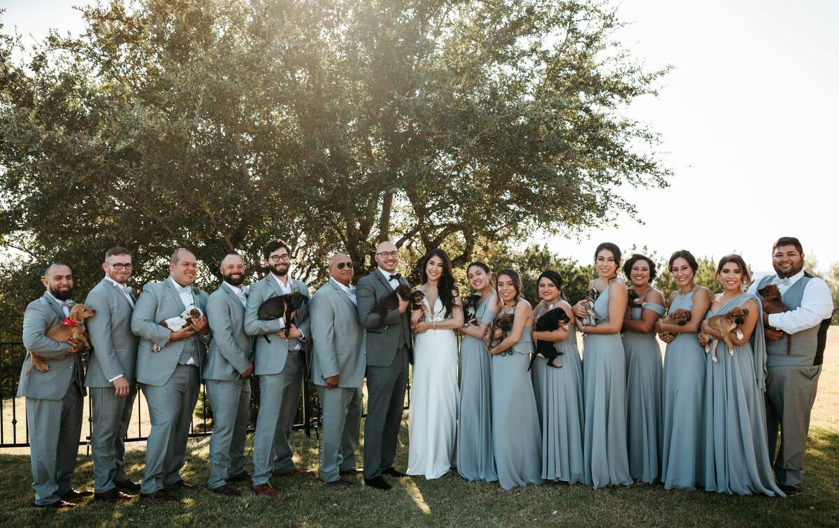 San Antonio couple, Alexis and Eric Castillo, recently partnered with San Antonio Pets Alive! to have a puppy cuddling session at their wedding with the hopes of spreading awareness for pet adoption. Here are photos from their wedding on Saturday, October 19 at The Villa at Cielo Vista on the Northwest Side.