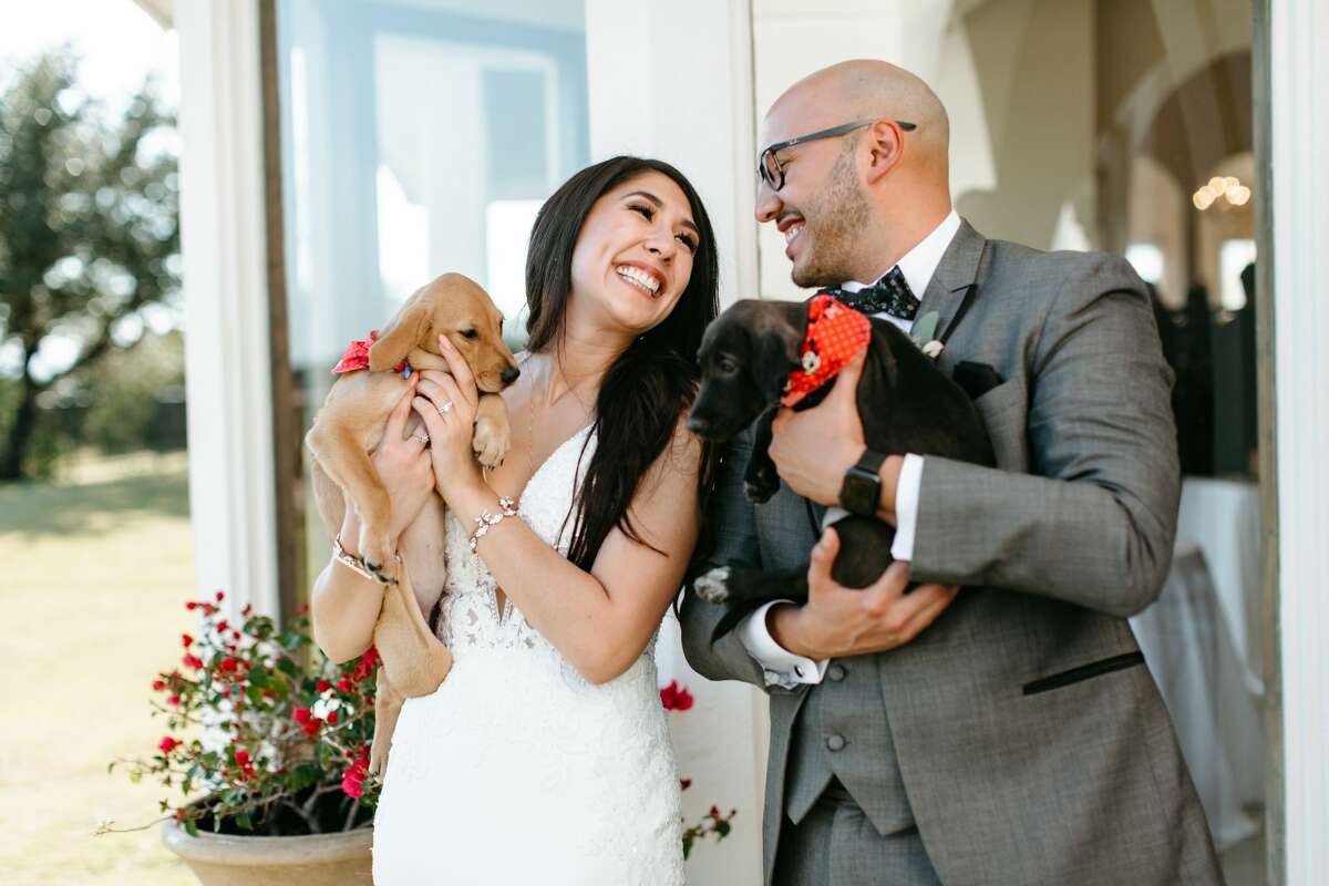 San Antonio couple, Alexis and Eric Castillo, recently partnered with San Antonio Pets Alive! to have a puppy cuddling session at their wedding with the hopes of spreading awareness for pet adoption. Here are photos from their wedding on Saturday, October 19 at The Villa at Cielo Vista on the Northwest Side.