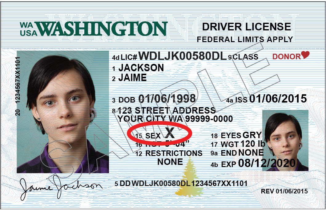 Washington State Now Allows X Gender Designation On Driver Licenses Seattlepi Com