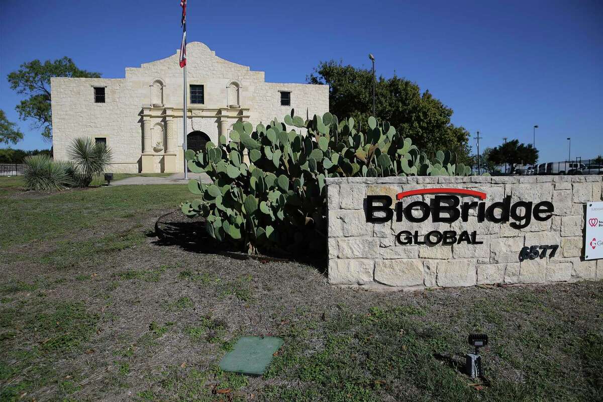 Twenty years ago this month, the former Alamo Federal Credit Union opened its Interstate10 and First Park Ten location with a building that’s a near life-size replica of the Alamo. Now BioBridge Global, the parent company of the nearby South Texas Blood & Tissue Center, uses it for offices, where folks still snap the occasional prom photo or quinceañera pic in front of the replica Cradle of Texas Liberty.