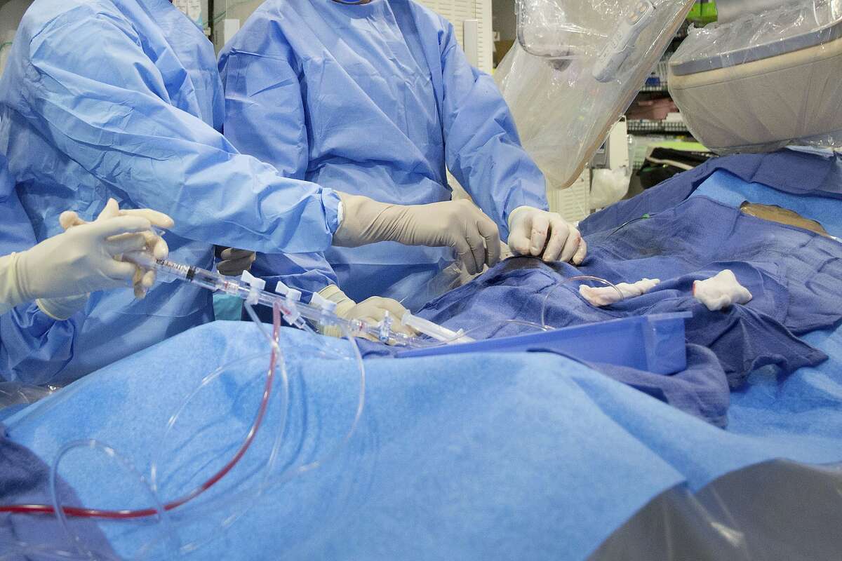 In this Feb. 16, 2017 file photo, surgeons perform a non-emergency angioplasty at Mount Sinai Hospital in New York. Through a blood vessel in the groin, a tube is guided to a blockage in the heart. A tiny balloon is then inflated to flatten the clog, and a mesh tube called a stent is inserted to prop the artery open. According to a federally funded study released on Saturday, Nov. 16, 2019, people with severe but stable heart disease from clogged arteries may have less chest pain if they get a procedure to improve blood flow rather than just giving medicines a chance to help, but it won't cut their risk of having a heart attack or dying over the following few years. (AP Photo/Mark Lennihan)