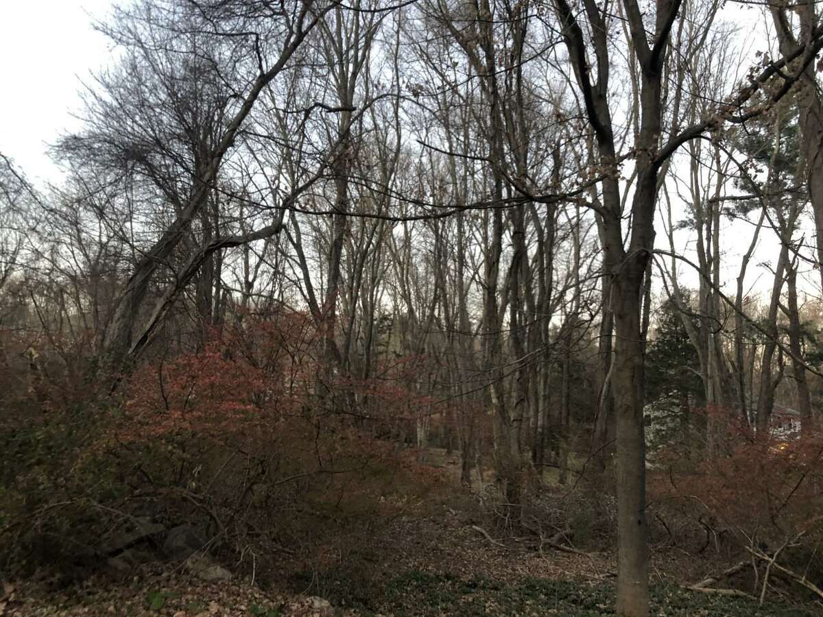 No cause yet in New Canaan fire