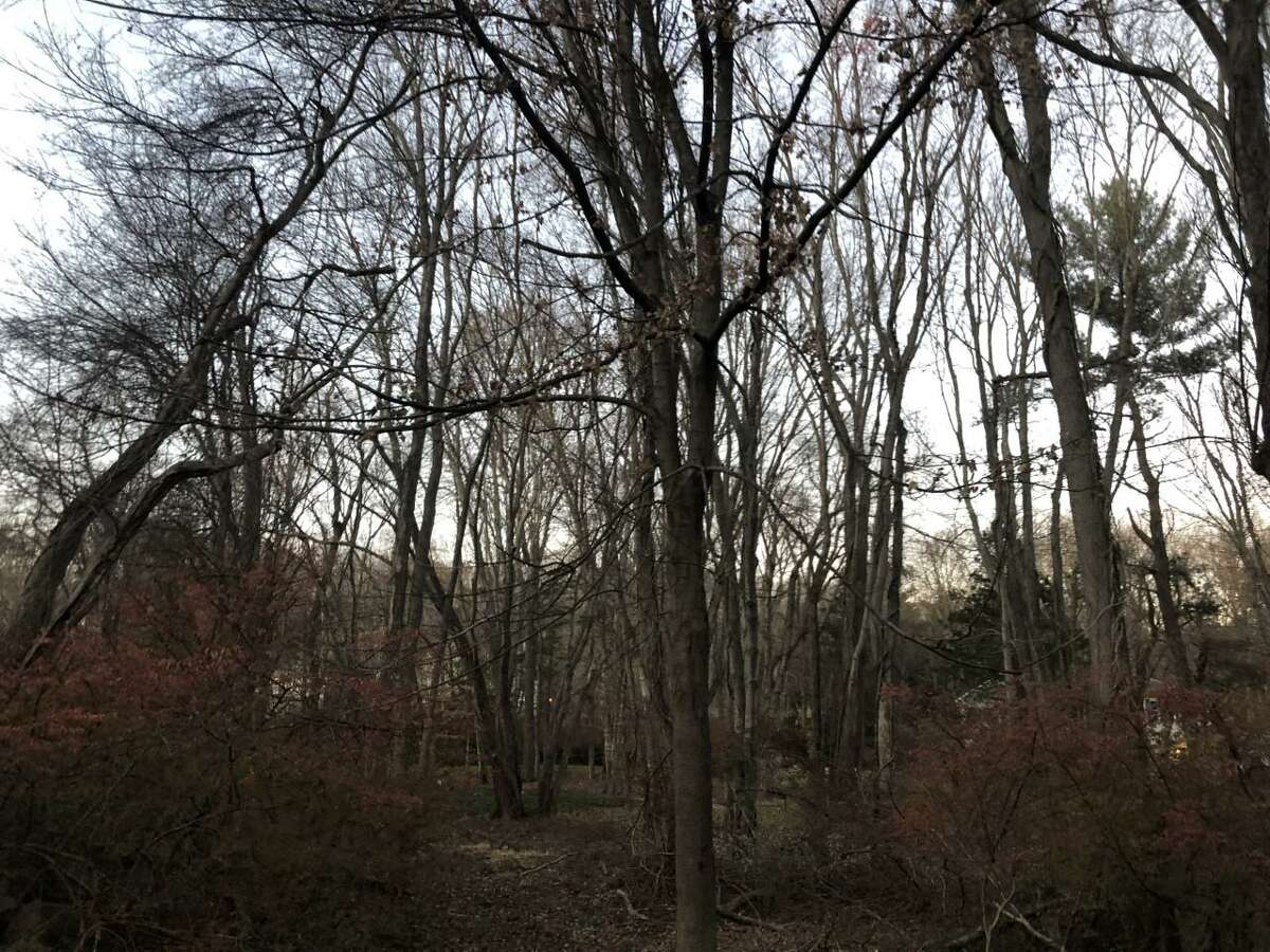 No cause yet in New Canaan fire