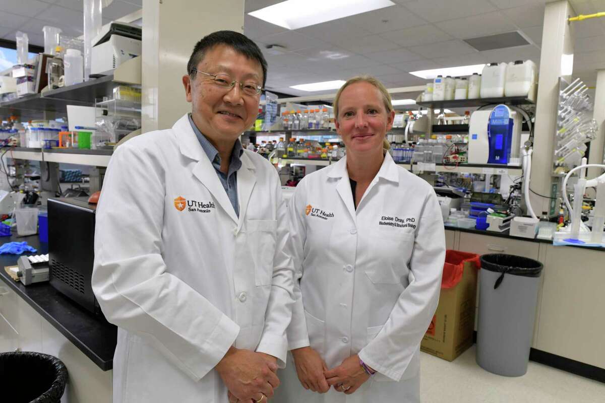 Dr. Patrick Sung, shown with Eloise Dray, Ph.D., is working on a new therapy targeting inherited breast and ovarian cancers. Since he came to UT Health San Antonio on Jan. 1, he’s attracted $20.9 million in funding for that research.