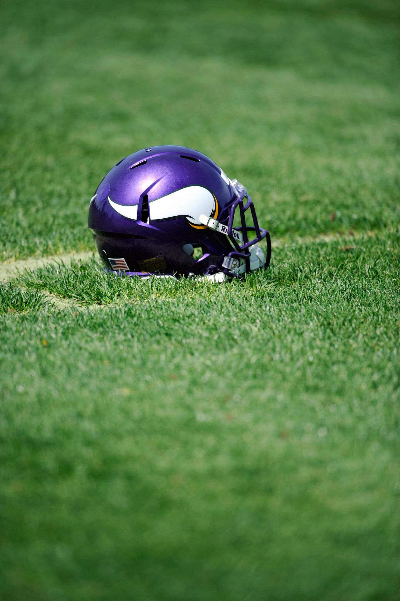 MINNESOTA VIKINGS Football Helmet (1980-1984)