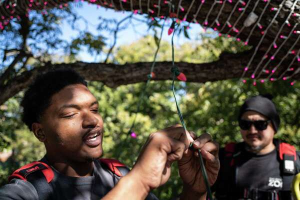 Annual San Antonio Zoo Lights Illuminates Winter Wonderland Friday