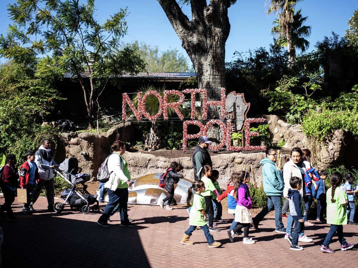 Annual San Antonio Zoo Lights illuminates winter wonderland Friday night