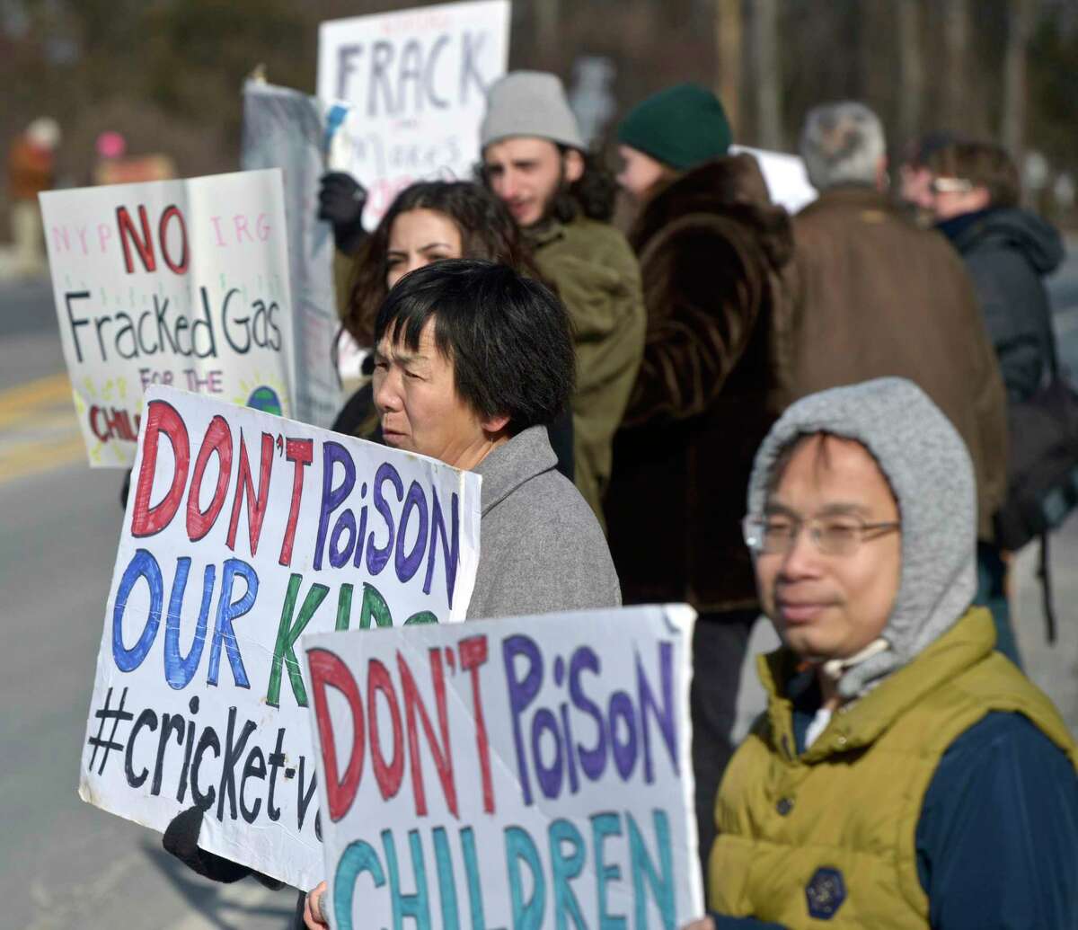 Police arrest 29 protesters at Cricket Valley power plant on state line