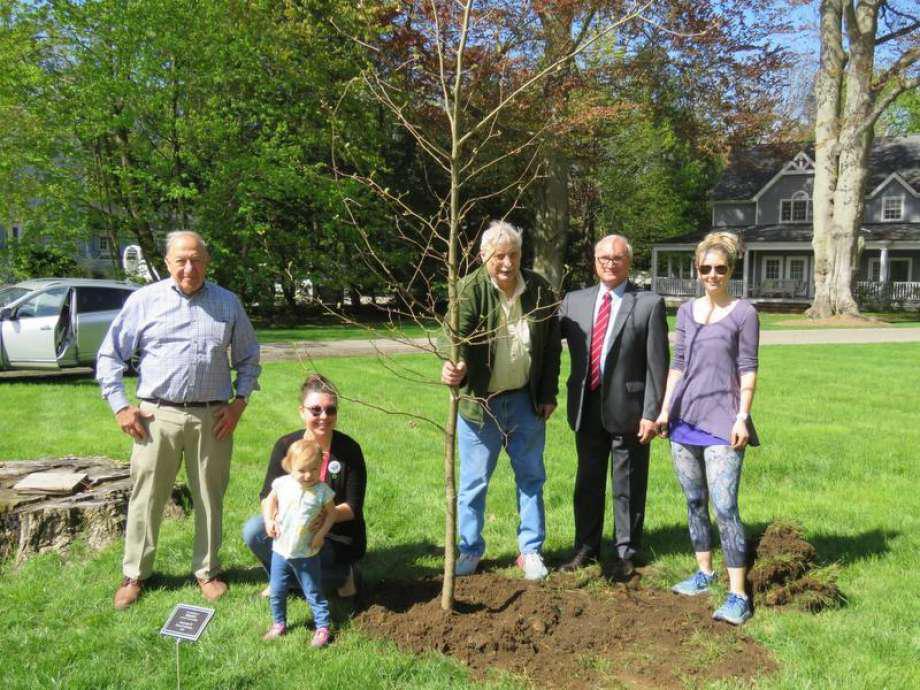 Now hiring Ridgefield seeks tree warden