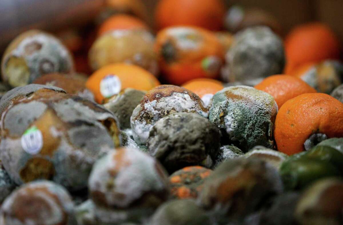 The Houston Food Bank lost 1.8 million pounds of food, including produce, when a malfunction with a cooling unit caused an ammonia leak in three of the center's refrigeration areas last week. Rotting oranges were photographed in one of the center's refrigeration areas on Tuesday, Nov. 19, 2019, in Houston.