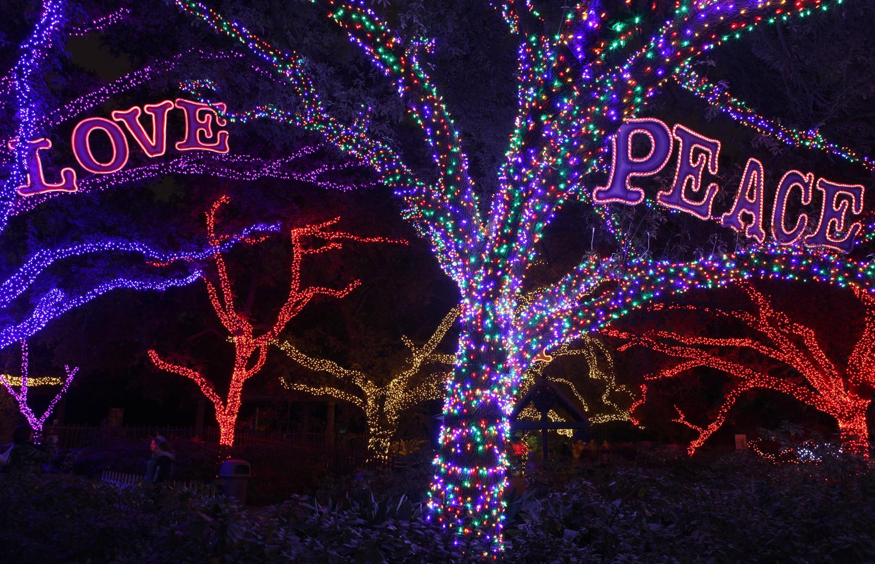 Holidays in Houston Things to see and do