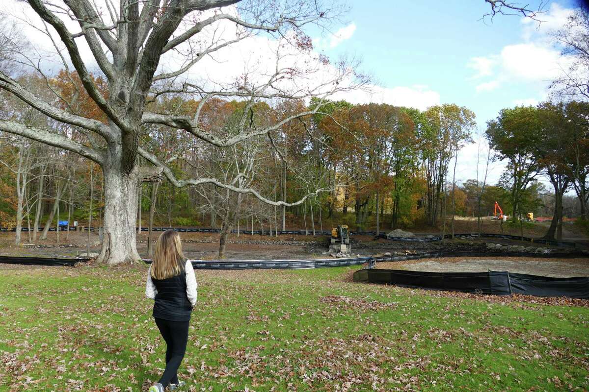 The Anderson Pond in New Canaan's Waveny Park is undergoing a $350,000 renovation with money donated by the Harlan and Lois Anderson Family Foundation. Pictures were taken in November, 2019.