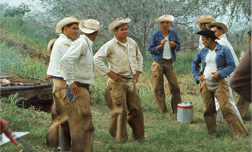 Texas outlaws, giant crocodiles and Houston's Astrodome in historical photos database