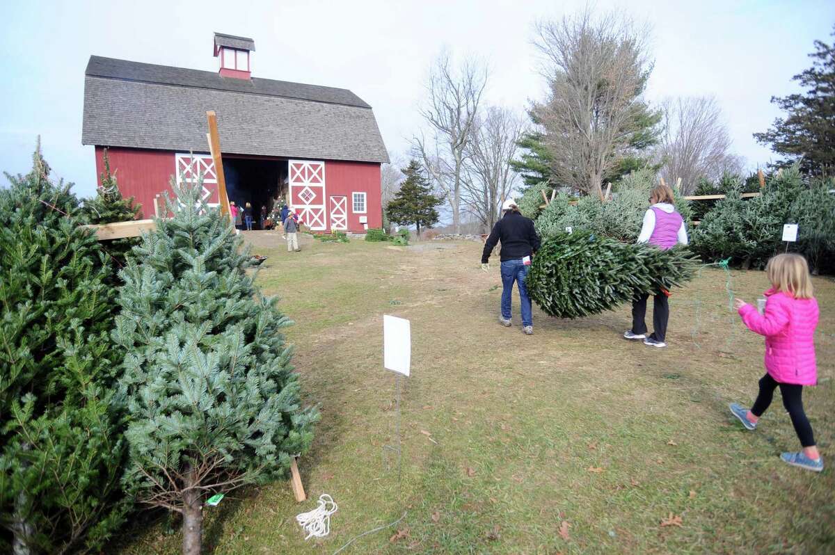 Ambler Farm concludes its annual holiday greens sale Dec. 5-6.