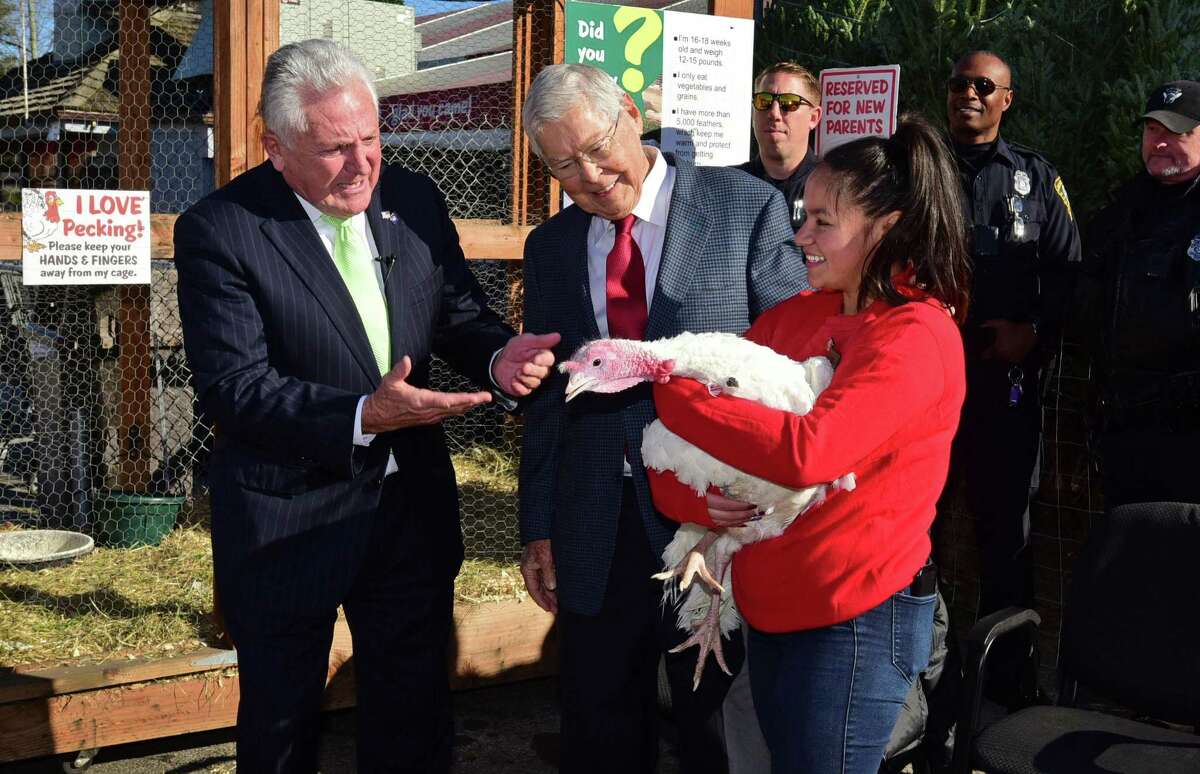 Norwalk Mayor Harry Rilling joins Stew Leonard Sr. to pardon Sonnie the turkey with the help of employee Evelin Jaimes as Stew Leonard's Turkey Brigade hands out Thanksgiving turkeys to residents in need, soup kitchen reps, homeless shelters and other charities via human assembly line Thursday, November 21, 2019, at the store in Norwalk, Conn. Over 3,000 turkeys were distributed as part of the 4oth annual event.