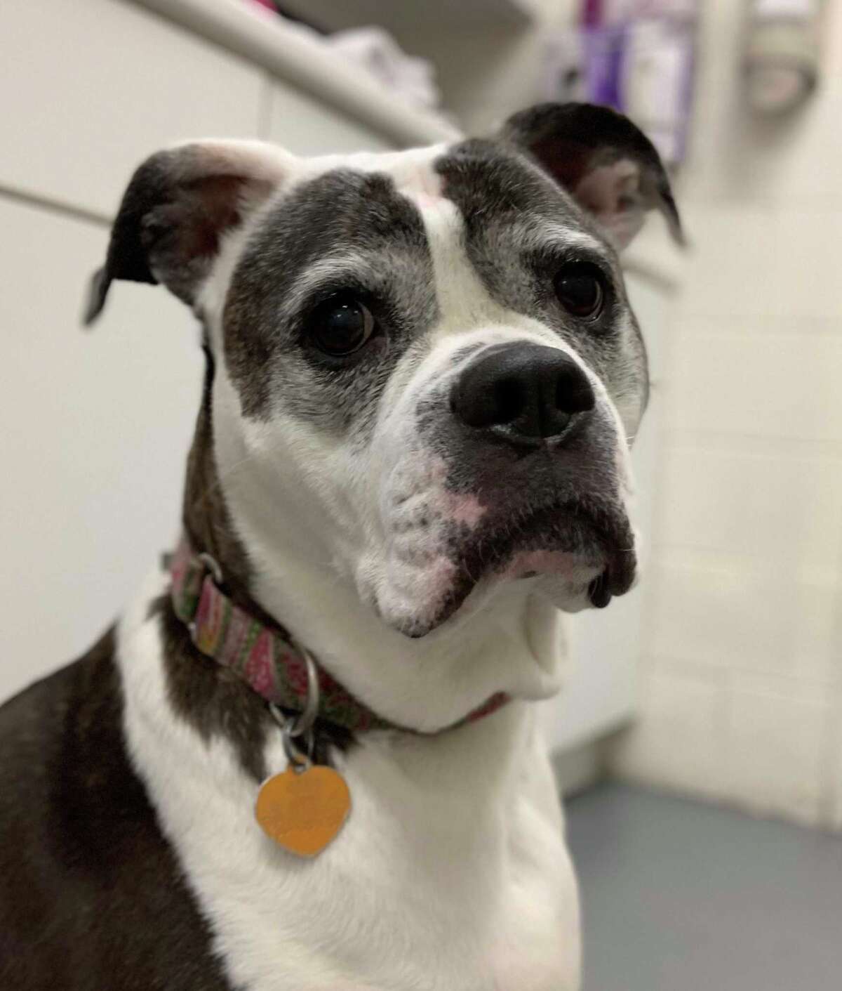 Zoe
