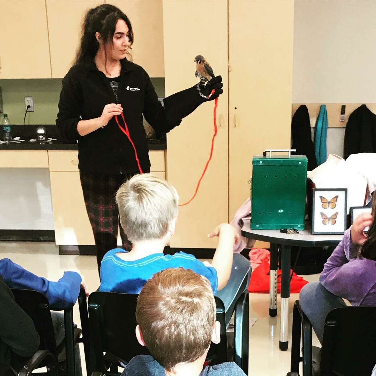 Christiana Ricchezza of the New Canaan Nature Center shows off a falcon to students in the Wilton Weekday Warriors program sponsored by Parks and Recreation.