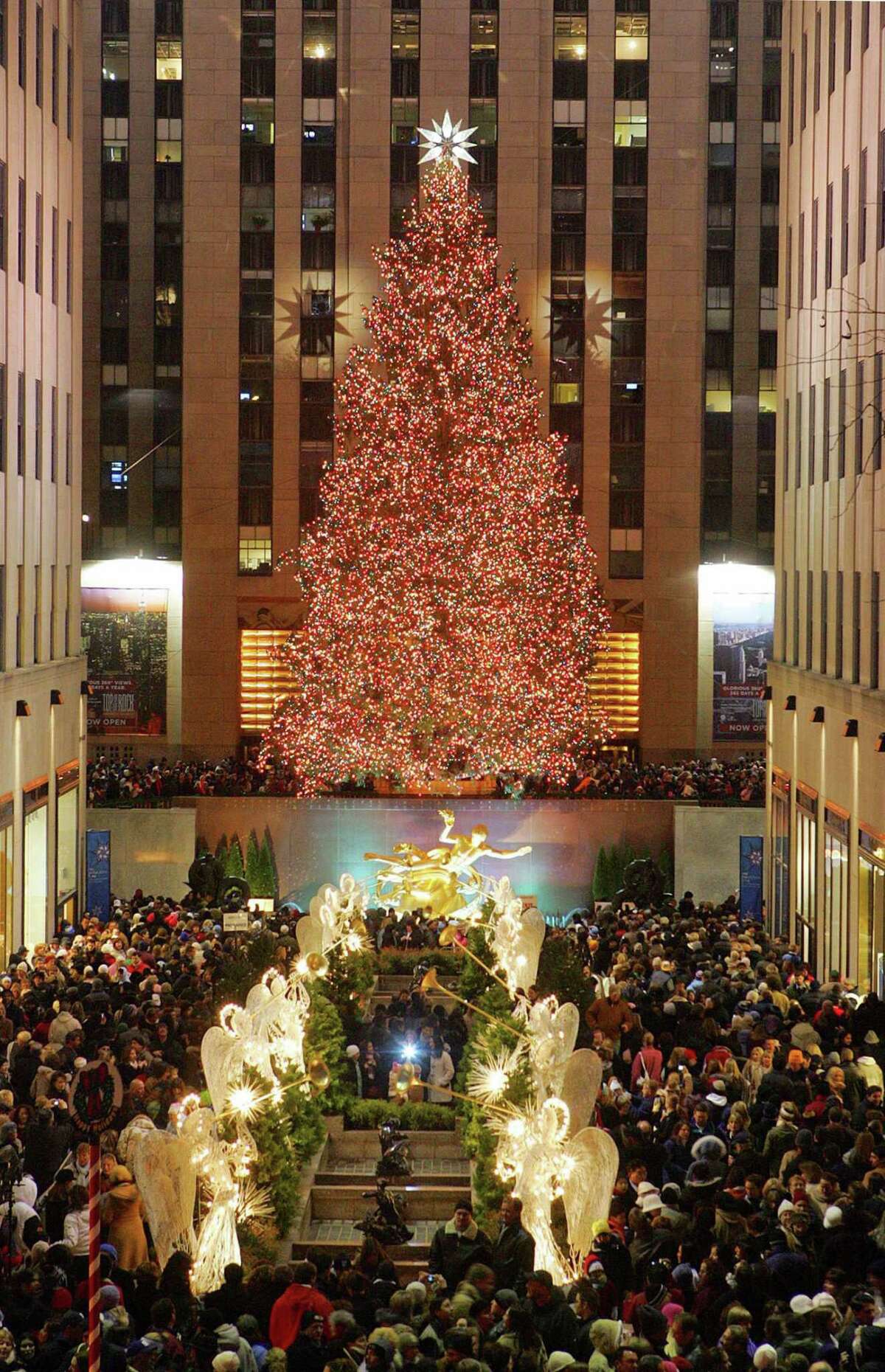 The Rockefeller Plaza is crowded with people looking at the Christmas tree in New York December 3, 2005. The 74 feet (22.55 m) tall Norway spruce from Wayne, N.J. weighs nine tons (8,165 kg), is lit with 30,000 lights and is topped with a Swarovski star. REUTERS/Dima Gavrysh