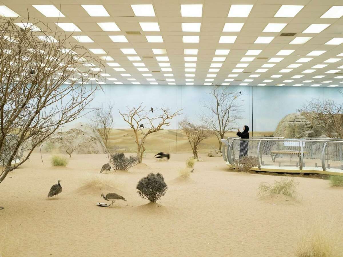 "Aviary" is among the prints in Farah Al Qasimi's show "Open Arm Sea" at Houston Center for Photography through Jan. 12.