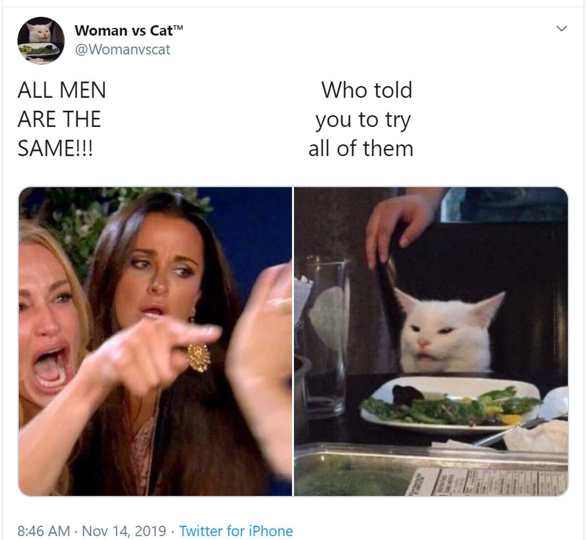 Woman Yelling At Cat Meme Gets San Antonio Twist With A Local Urban Myth
