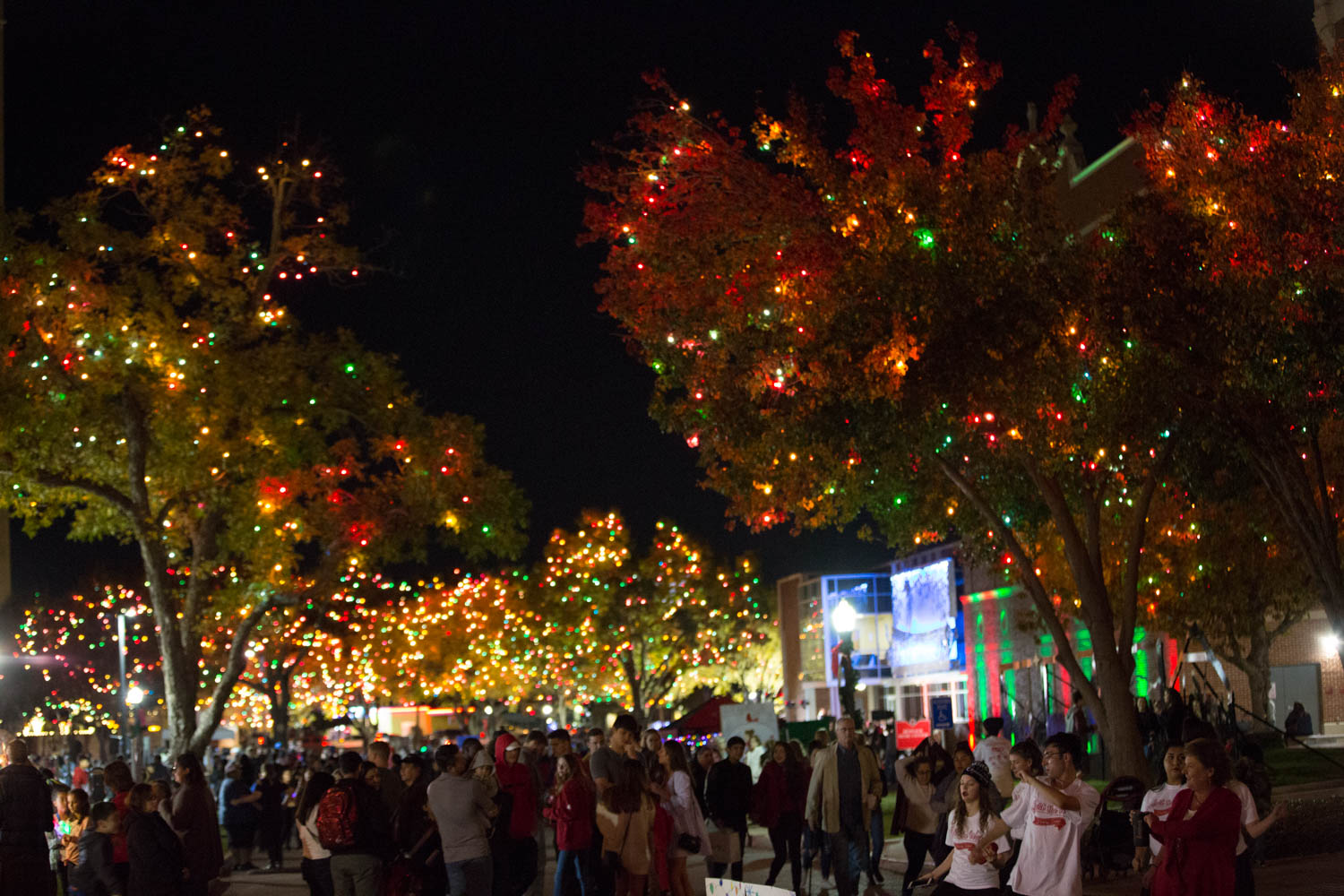 UIW's Light the Way is happening but will look different this year