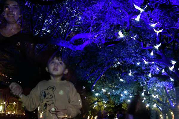 Discovery Green S Paloma Takes Flight With Sound And Light