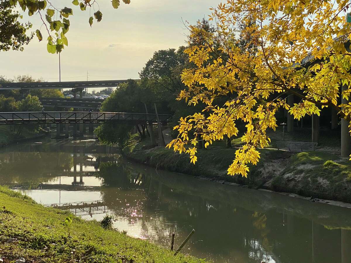 Walking wellness coach Laura Conely took photos of fall foliage in Buffalo Bayou Park on Nov. 23, 2019.