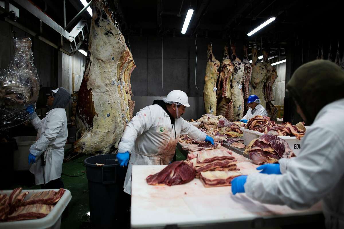 Workers processing beef at Marin Sun Farms, the Bay Area�s last remaining USDA-certified slaughterhouse, Petaluma, California, November 26th, 2019. In January, the Bay Area�s last remaining USDA-certified slaughterhouse, run by Marin Sun Farms in Petaluma, will no longer process animals from local ranches other than its own. When the local meat ranching company took over the slaughterhouse in 2014 that had been owned by Rancho Feeding Corp., it promised to help other ranches stay in business by offering the service. The company announced last month that it would no longer offer the service due to lack of management staff to oversee the program and other issues including the liability of having to handle meat from so many different companies and deal with USDA inspectors. The move leaves many Sonoma and Marin county ranchers without a place to process their animals.