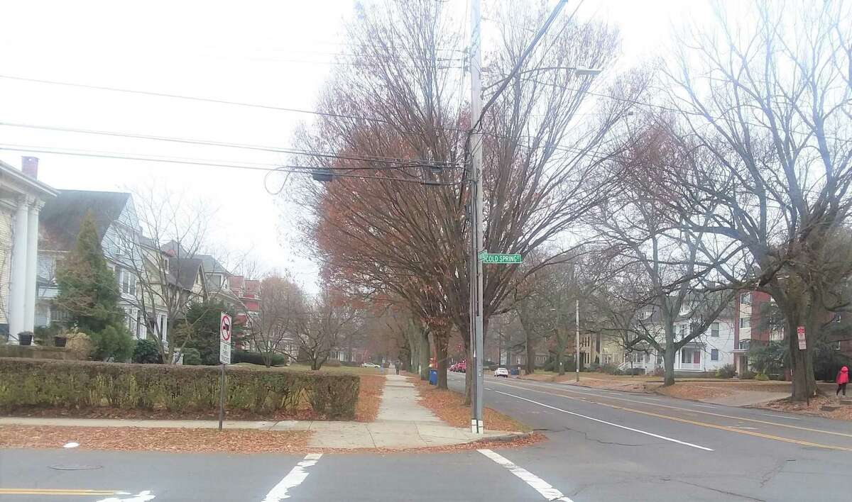 New Haven aims to make Whitney Ave. safer, pedestrian friendly