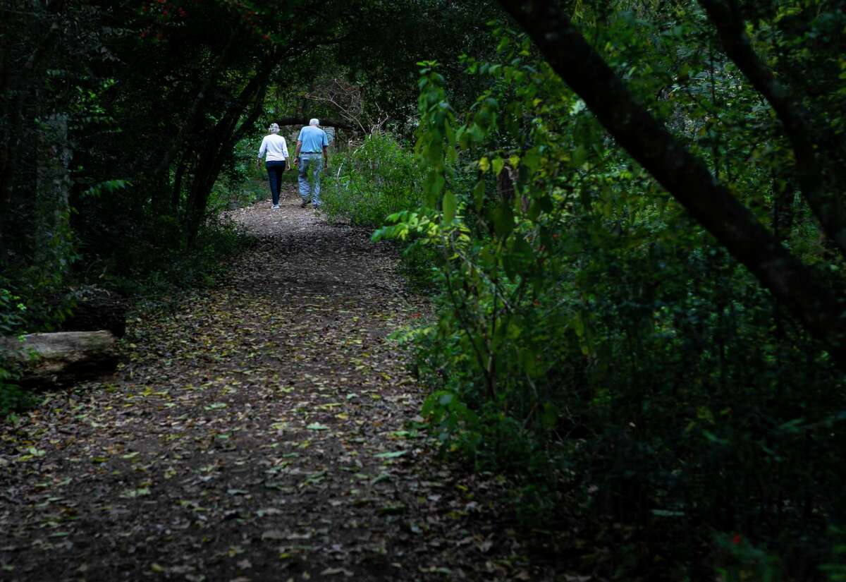 here-s-where-to-walk-in-houston