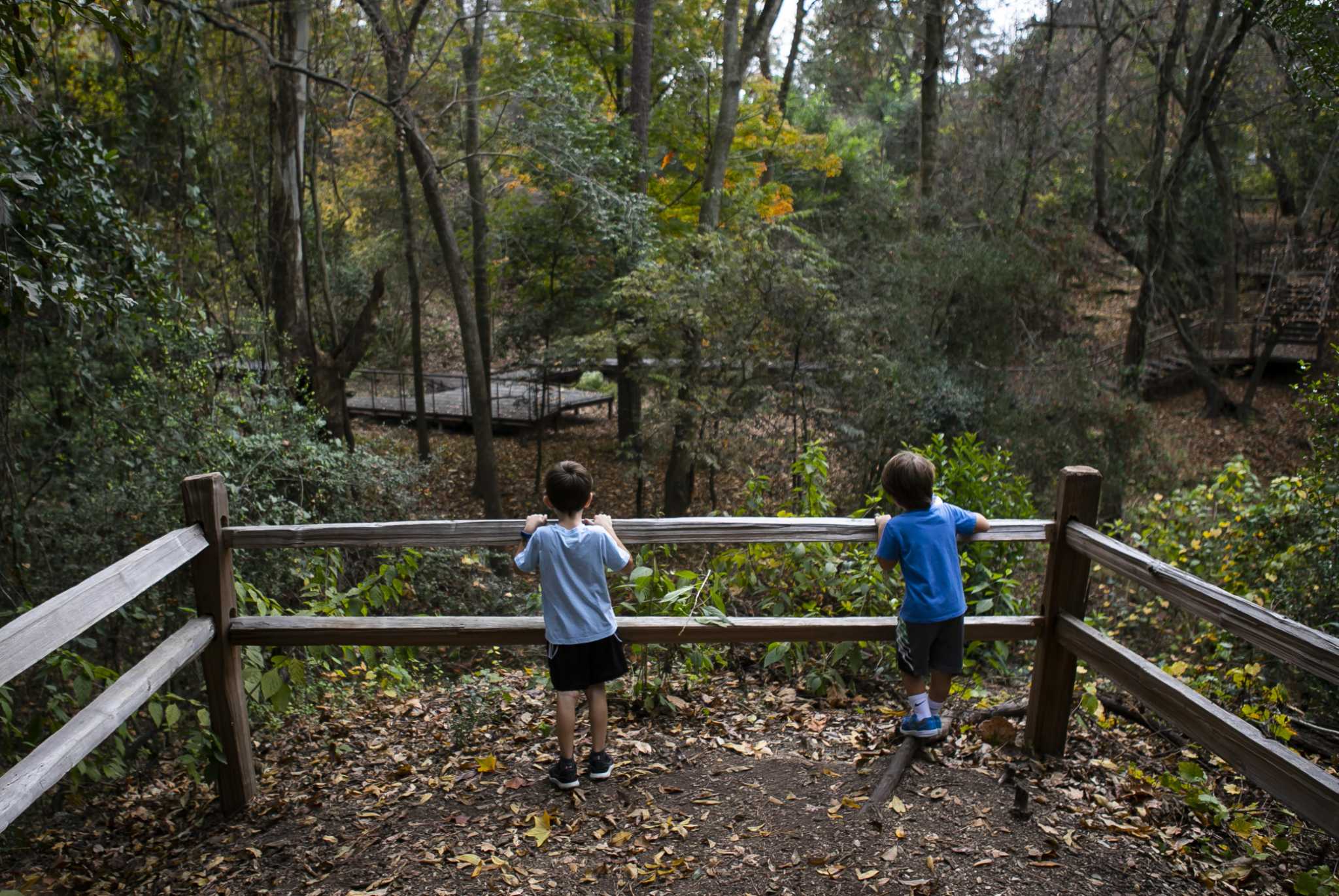 tom harvey memorial dog park