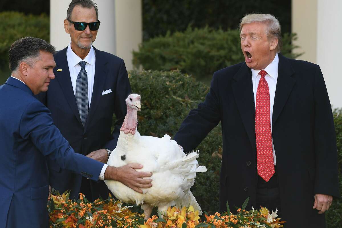 Us president thanksgiving holiday