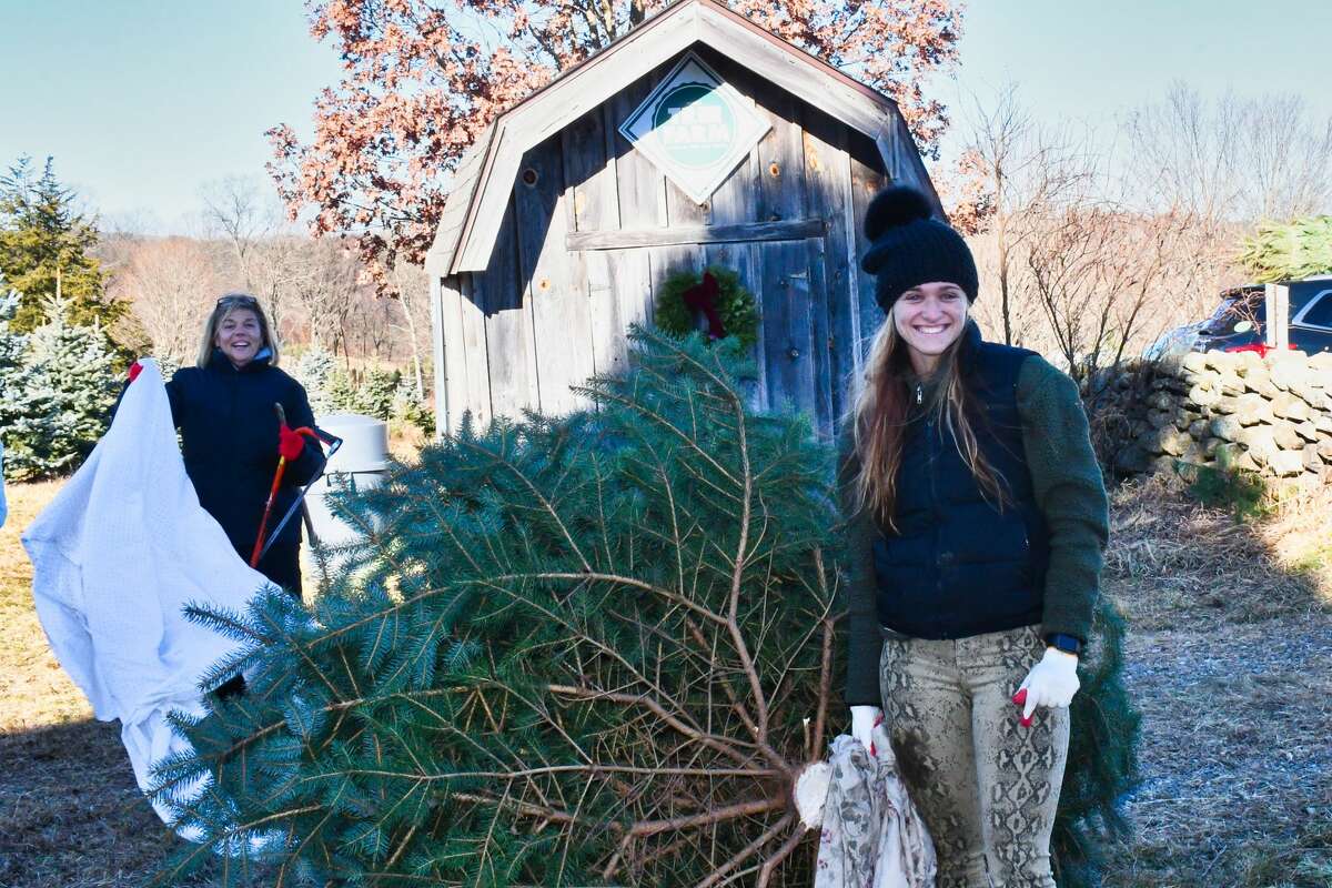 SEEN Christmas tree shopping at Jones Family Farm 2019