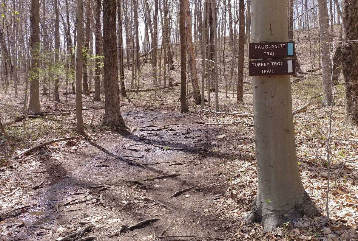 The Shelton Trail Committee will be holding a work party on Saturday, Dec. 12, along the Rec Path, where it meets Turkey Trot and Paugussett trails.