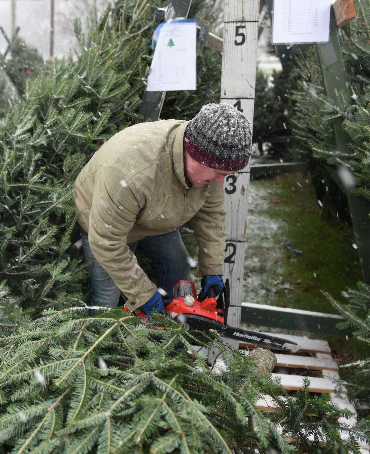 Snow falls at FCCOG tree sale opening weekend