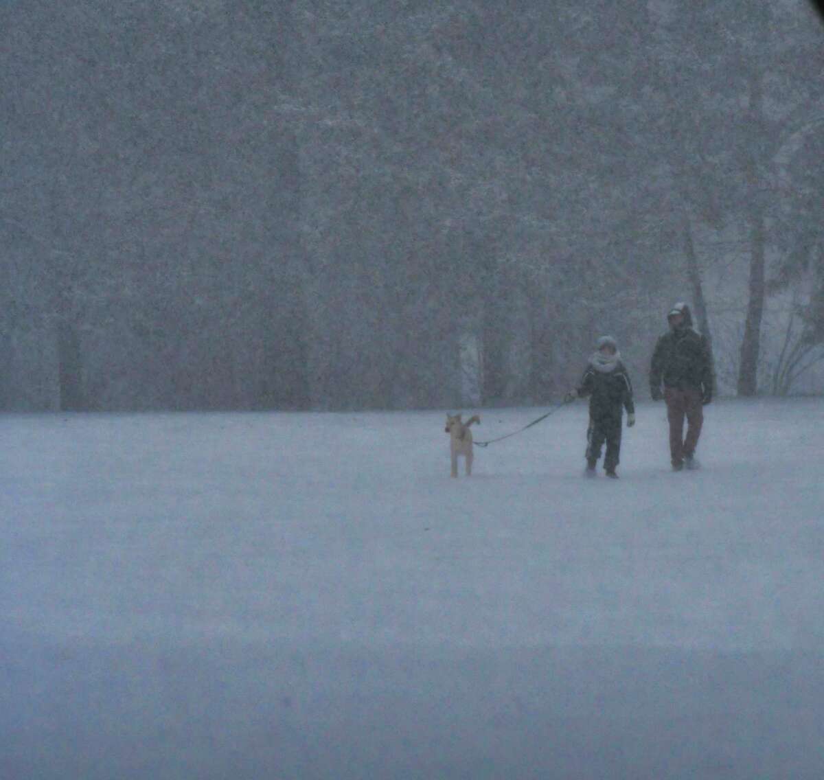 Two people and a dog make their way through the snow in Washington Park on Sunday, Dec. 1, 2019, in Albany, N.Y. (Paul Buckowski/Times Union)
