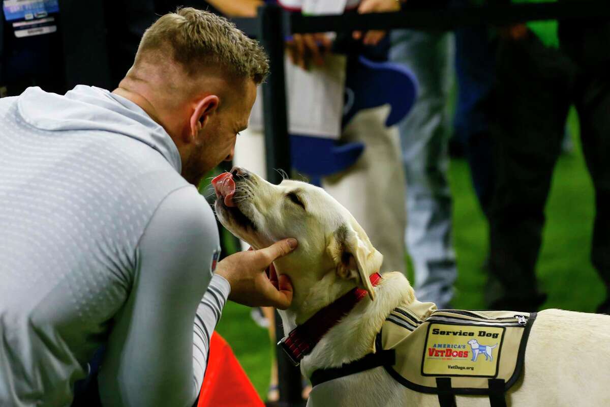 J.J. Watt gets a kiss from Sully, the former service dog belonging to President George H.W. Bush, before the first quarter of an NFL football game at NRG Stadium on Sunday, monthnameap} 1, 2019, in Houston.