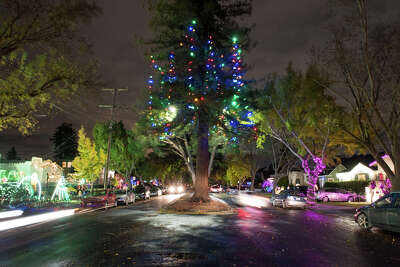 Christmas Tree Lighting Alameda Ca 2022 What It's Like To Live On The Bay Area's Christmas Tree Lane