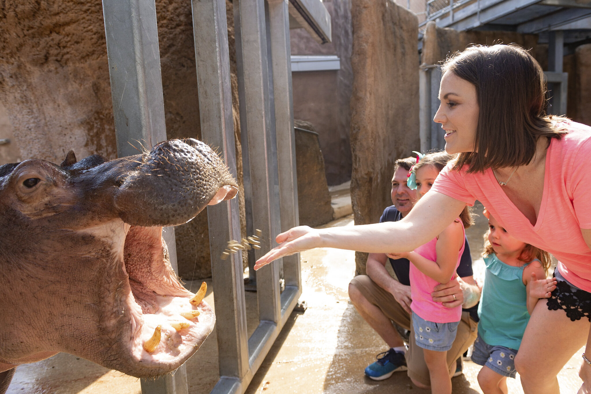 San Antonio Zoo offering BOGO ticket deal for Cyber Monday