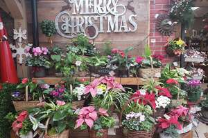 Bethel’s Hollandia Nurseries offers one-stop home decor holiday shopping - Photo