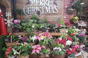 Bethel-based Hollandia Nurseries, founded more than 55 years ago by the Reelick family, offers one-stop shopping for holiday gifts and home decor.