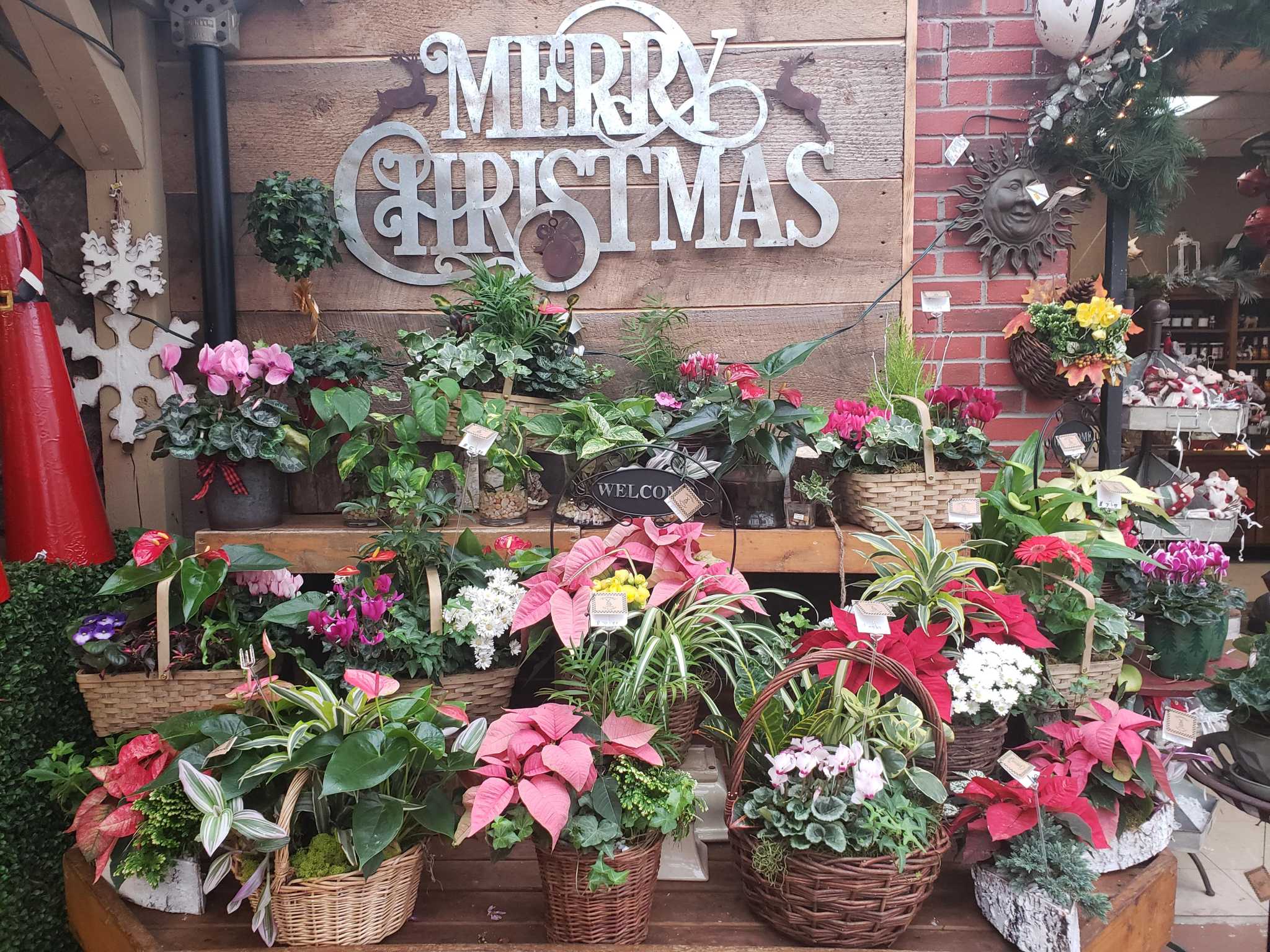 Bethel’s Hollandia Nurseries offers onestop home decor holiday shopping