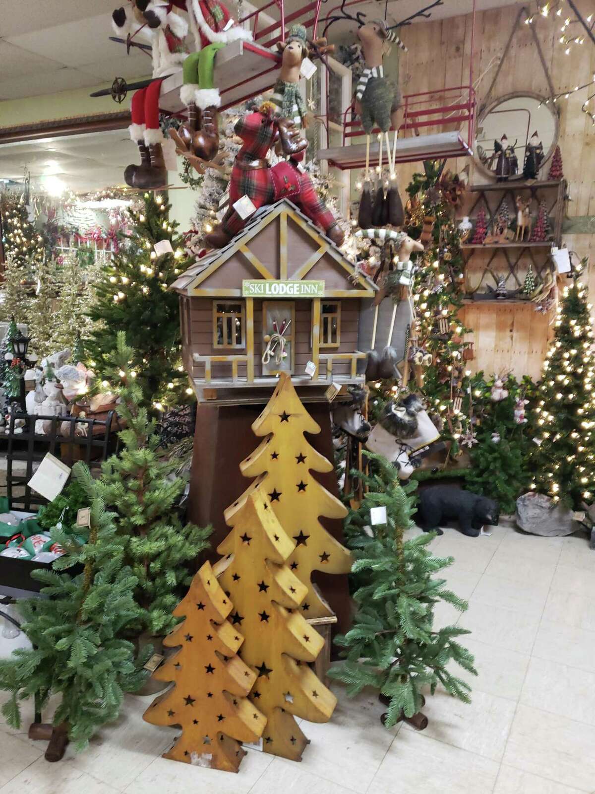 Rustic looking trees from Hollandia Nurseries in Bethel would dress up virtually any house for the holiday season.
