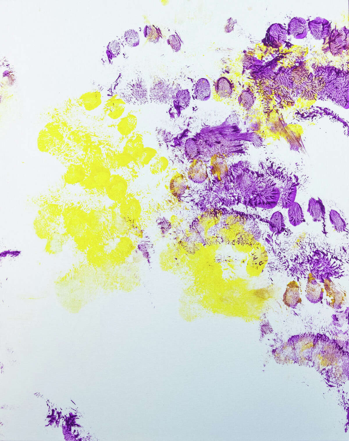 Can you guess which Houston Zoo animals created these artworks?